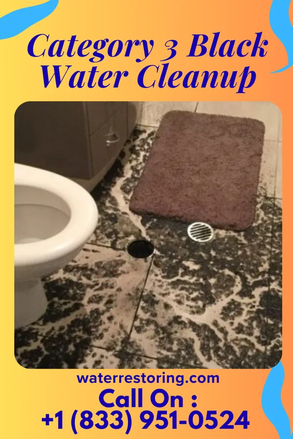 Category 3 Black Water Cleanup in Cross Roads, PA