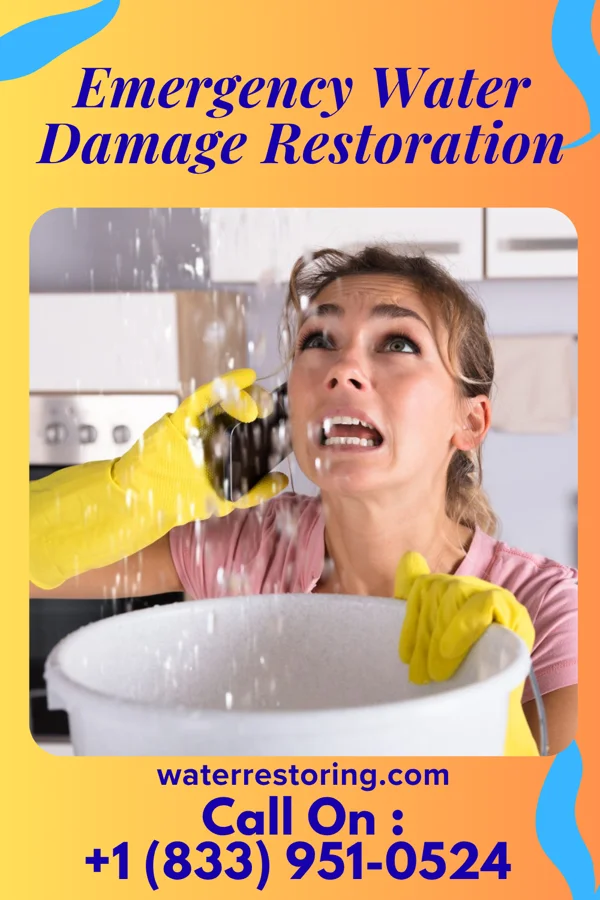 Emergency Water Damage Restoration in Cross Roads, PA