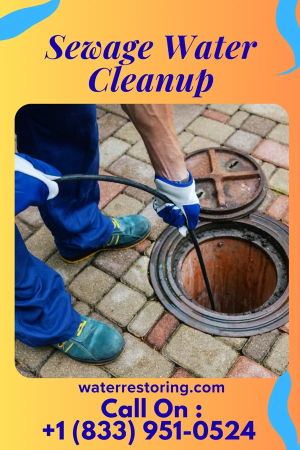 Sewage Water Cleanup in Cross Roads, PA